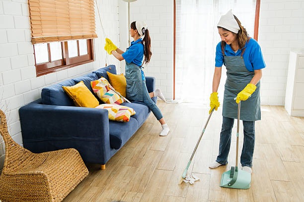 Full Day Professional Maid Service