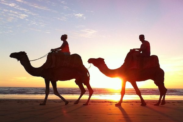 Agadir Sunset Camel Ride with Berber BBQ Dinner along Souss River (4 Hours)
